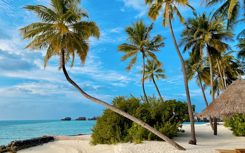 What to Pack for Sri Lanka: The Complete Packing List