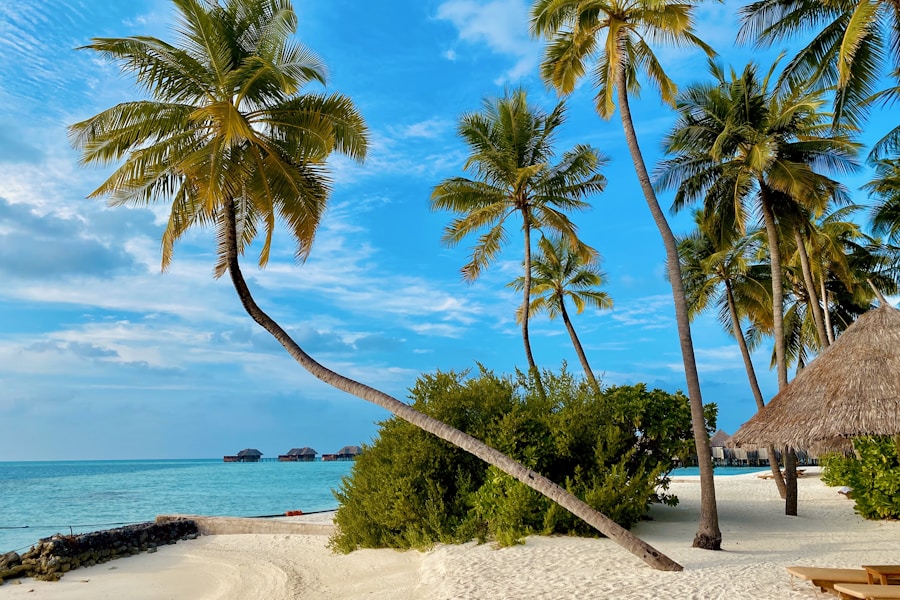 Trincomalee & the East Coast